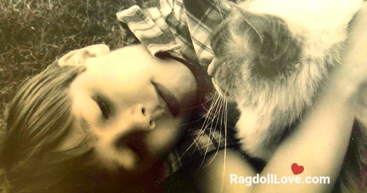 Boy and Blue Point Ragdoll Cat