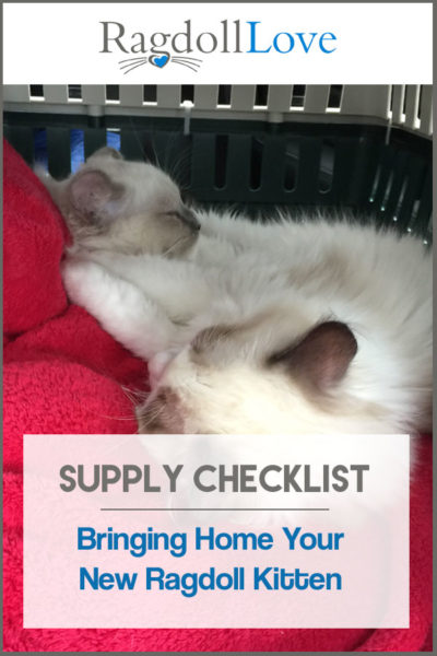 SUPPLY CHECKLIST BRINGING HOME A RAGDOLL KITTEN - 2 SLEEPING RAGDOLL KITTENS