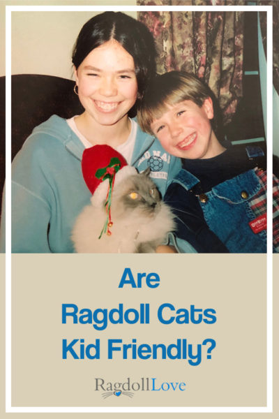 Boy and girl happy with their Ragdoll Christmas Cat