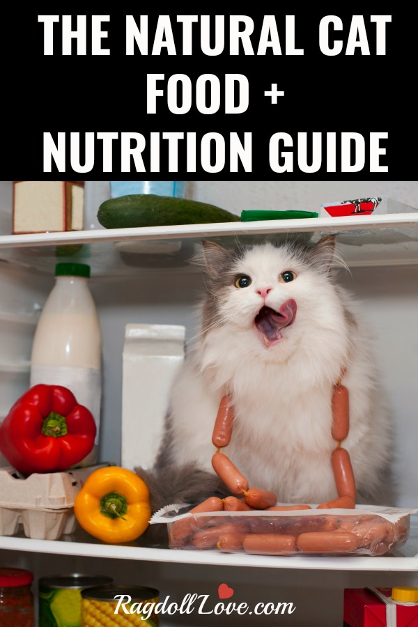 the-natural-cat-food-and-nutrition-guide