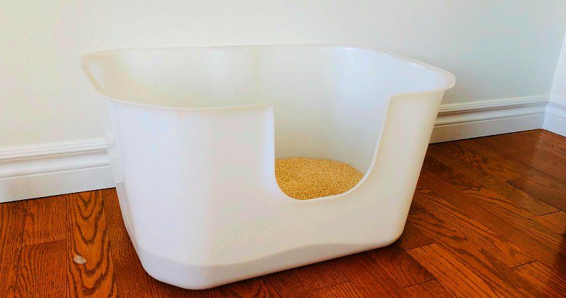 White Litter Box 