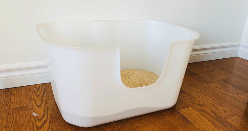 Nvr miss litter box best sale