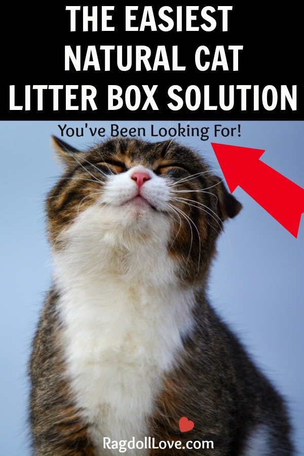 Smiling Cat - The easiest natural cat litter solutions you've been looking for